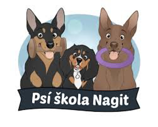 Obrázek z Dárkový kupon Psí škola Nagit 